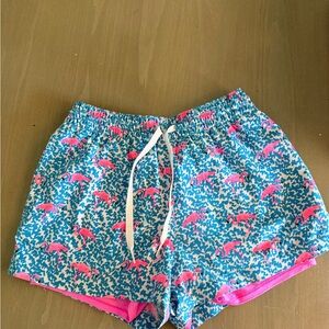 Chubbies Blue and Pink Athletic Shorts